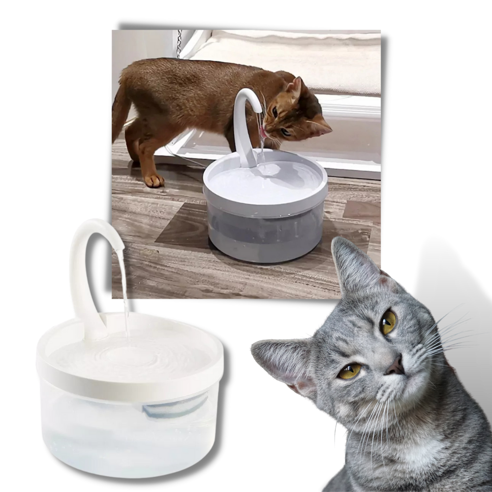 Auto water fountain for cat with LED light