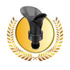 2 in 1 Wine Decanter and Seal