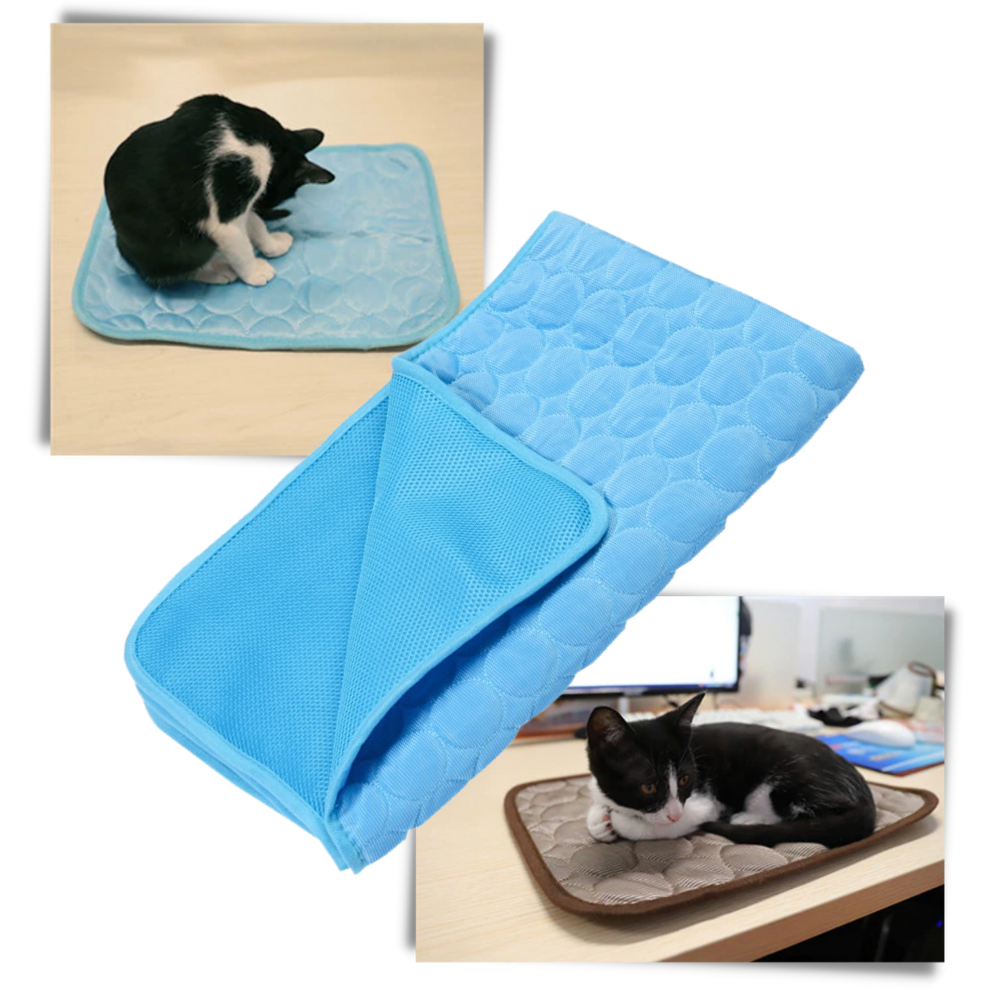 Tapis réfrigérant pour animaux de compagnie