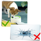 Bol d'eau flottant pour animaux