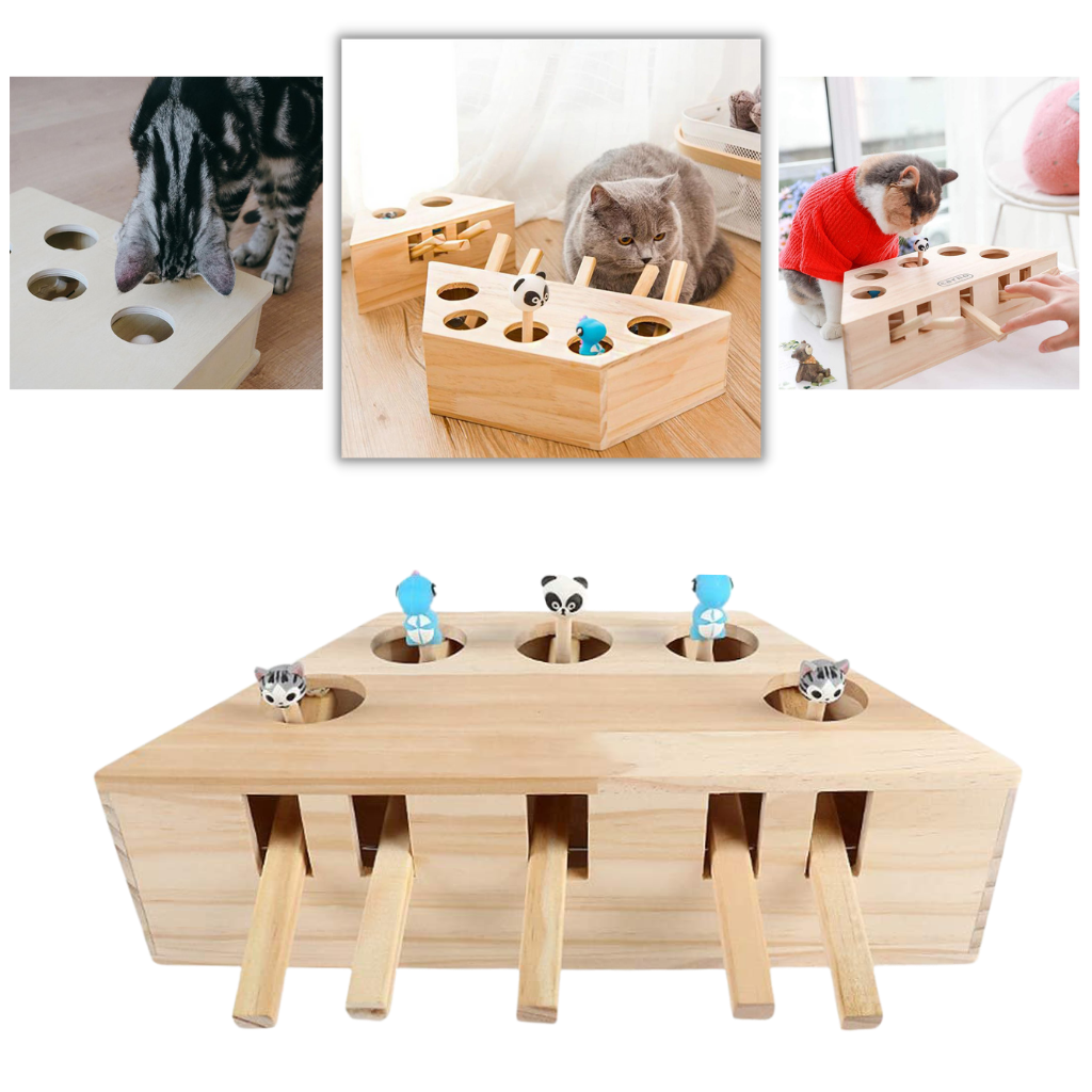5 Hole Wooden Interactive Cat Toy