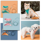 Ensemble harnais et laisse pour animaux