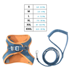 Ensemble harnais et laisse pour animaux