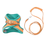 Ensemble harnais et laisse pour animaux