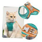 Ensemble harnais et laisse pour animaux