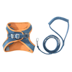 Ensemble harnais et laisse pour animaux