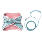 Ensemble harnais et laisse pour animaux