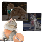 Ensemble harnais et laisse pour animaux