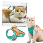 Ensemble harnais et laisse pour animaux