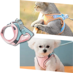 Ensemble harnais et laisse pour animaux