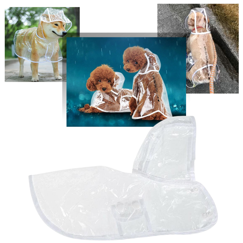 Imperméable à capuche pour chiens