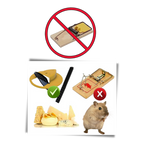 Piège à rats et souris par seau