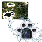 Solar-Powered Paw Print Pathway Light