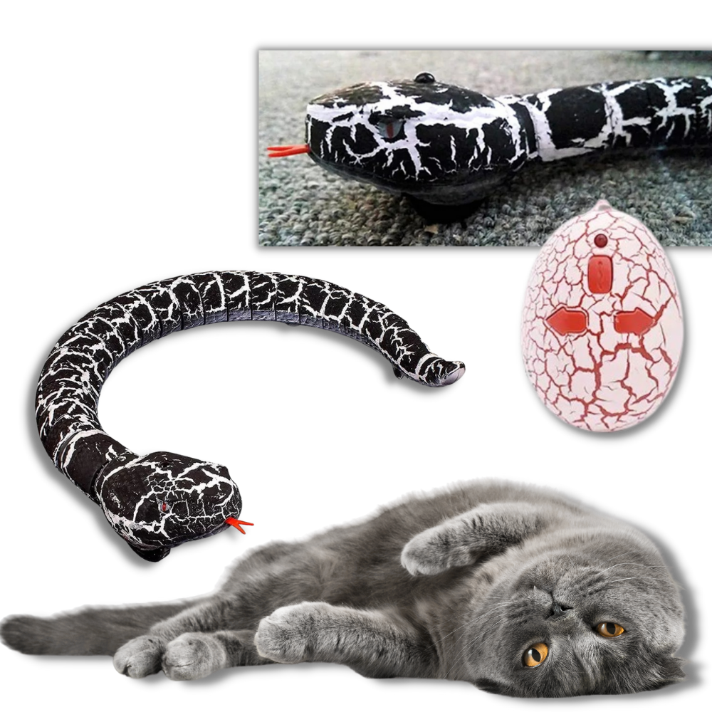 Remote control interactive snake toy for cat