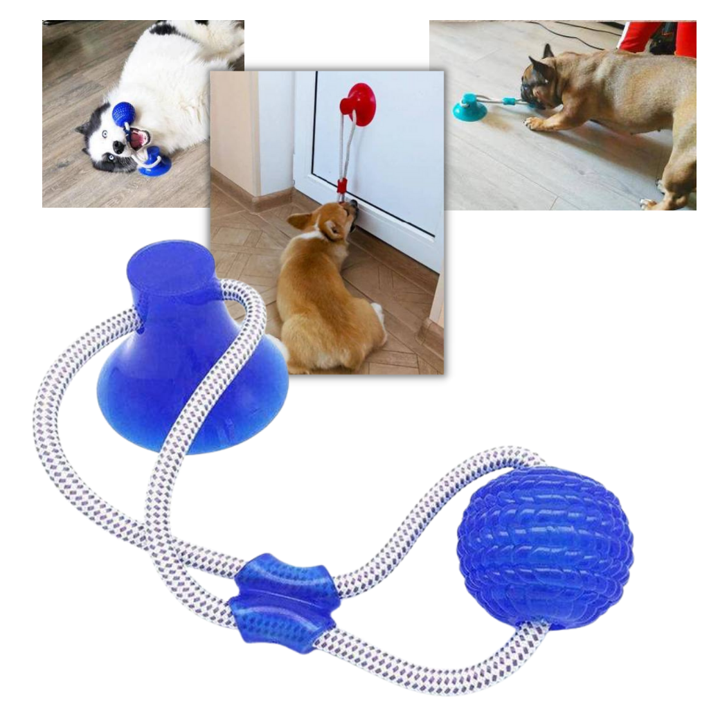 Suction Cup Dog Pull Ball Toy