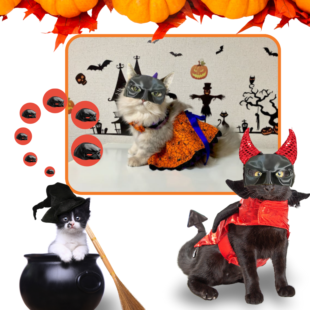 Adorable Batman Cat Mask