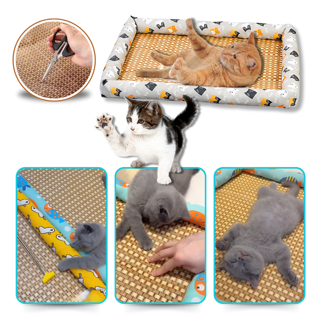 Anti-Slip Cooling Technology Pet Mat