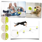 Automatic Dog Ball Launcher