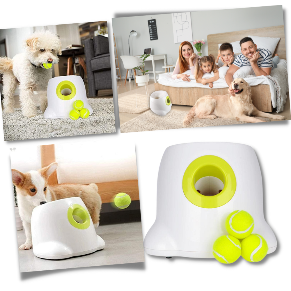 Automatic Dog Ball Launcher