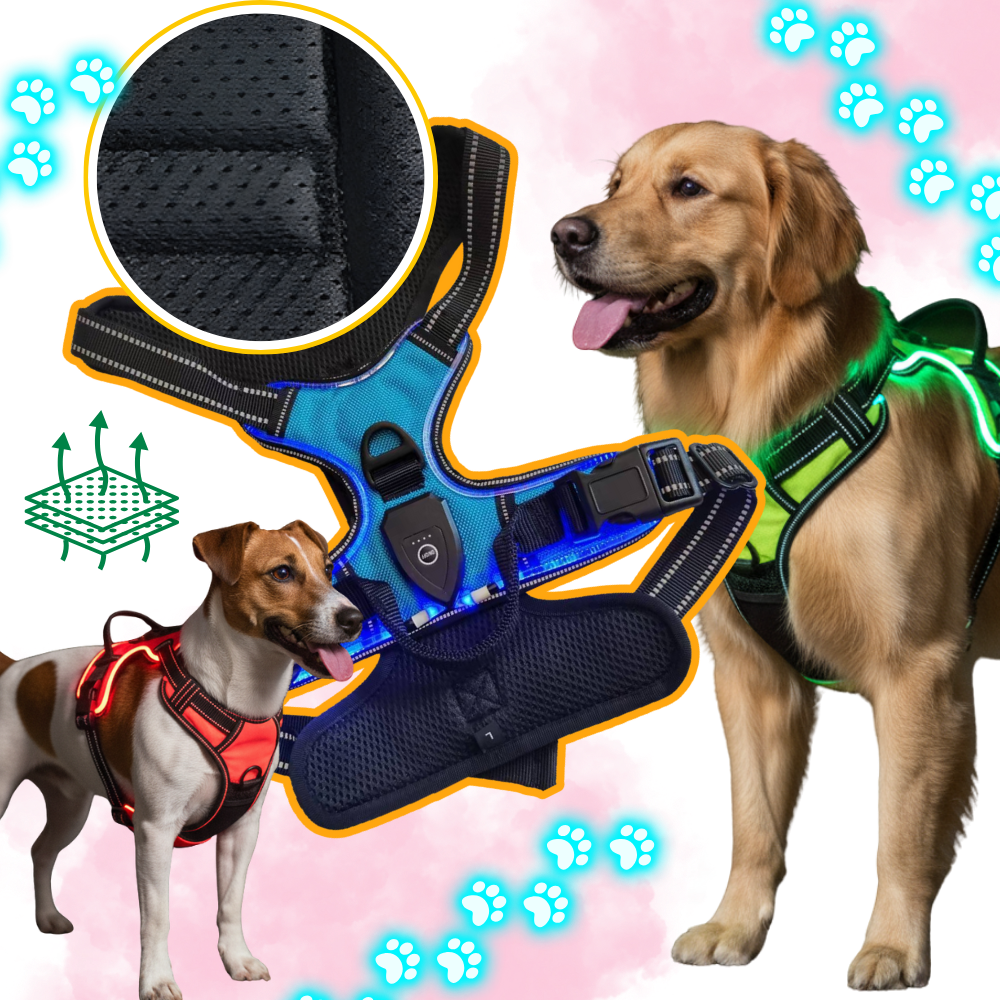 Blink LED Light Dog Harness