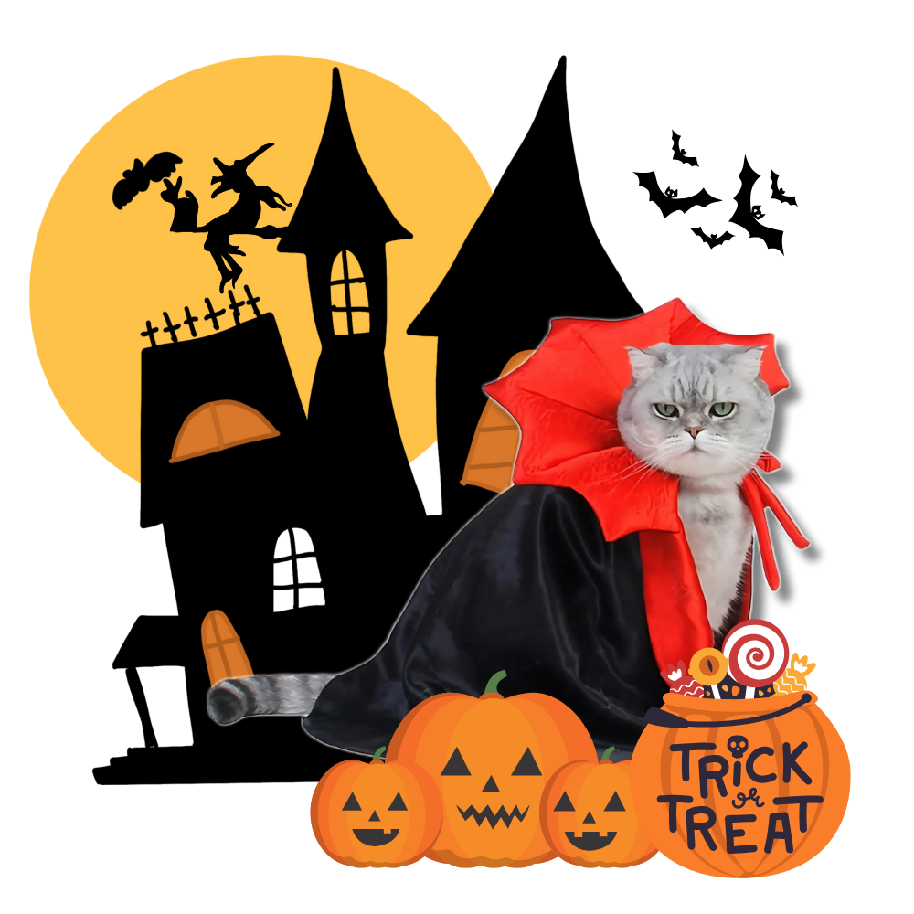 Cute Dracula Halloween Pet Costume