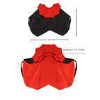 Cute Dracula Halloween Pet Costume