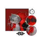 Cute Dracula Halloween Pet Costume