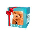 Adorable robot chaton/chiot