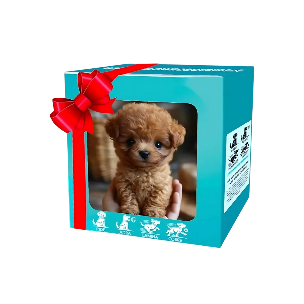 Adorable robot chaton/chiot