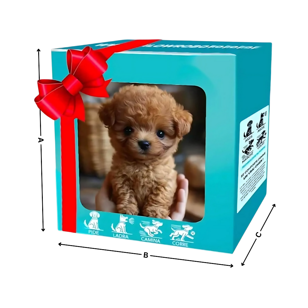 Adorable robot chaton/chiot