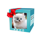 Adorable robot chaton/chiot