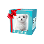 Adorable robot chaton/chiot