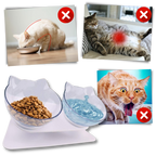 Bol confort surélevé pour chats