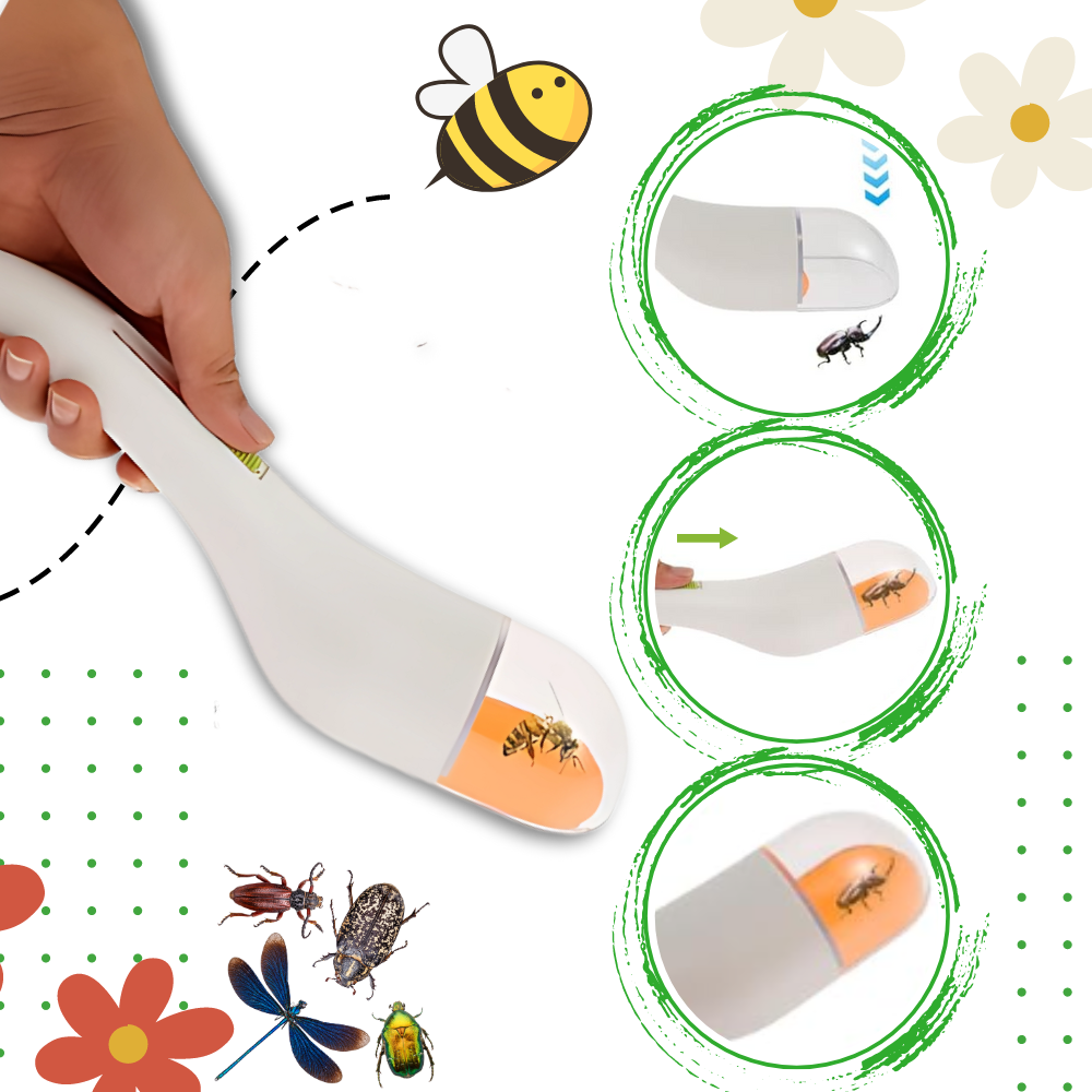 HD Viewing Insect Trap