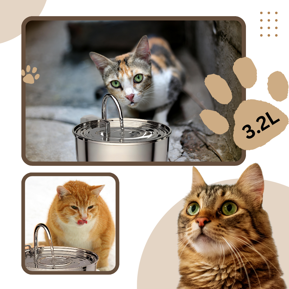 Fontaine pour chats à grande capacité