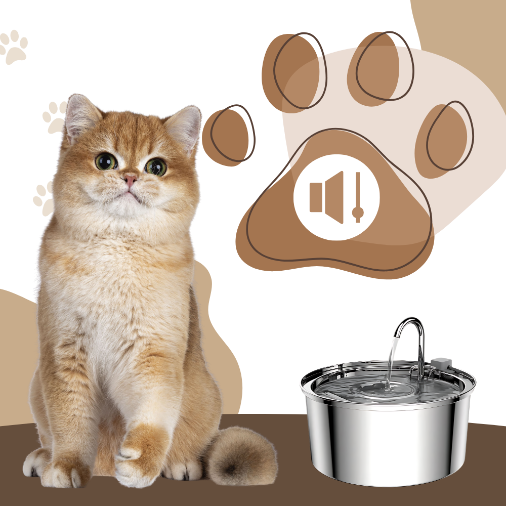 Fontaine pour chats à grande capacité