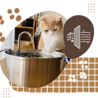 Fontaine pour chats à grande capacité