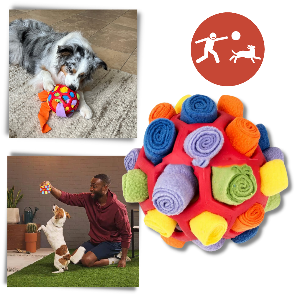 Mental Stimulator Snuffle Ball