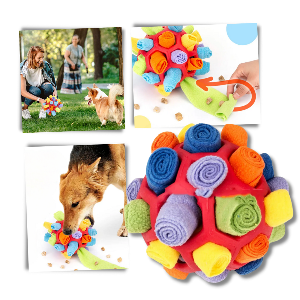 Mental Stimulator Snuffle Ball