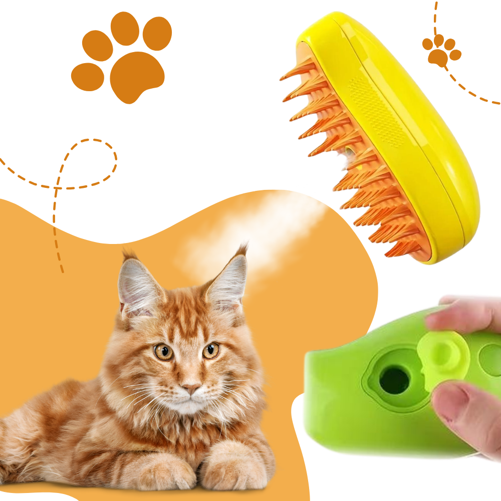 Brosse de toilettage multifonctions pour chats