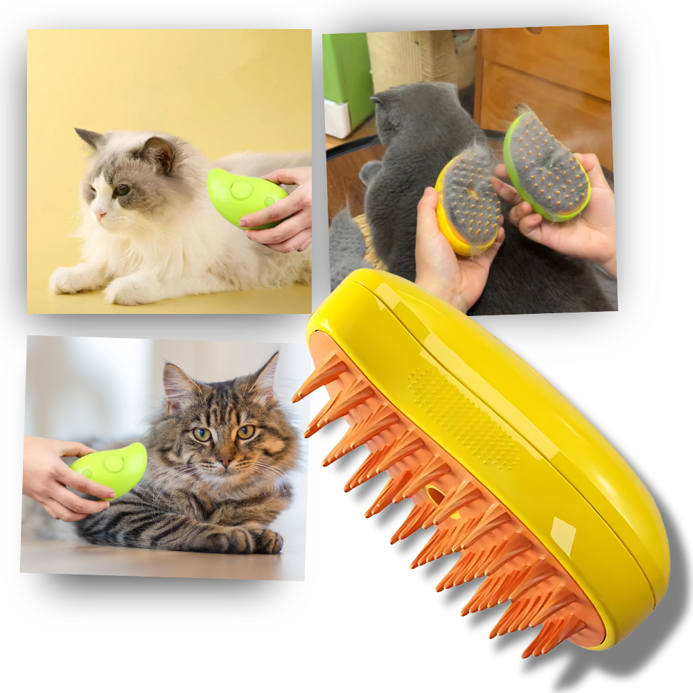 Brosse de toilettage multifonctions pour chats