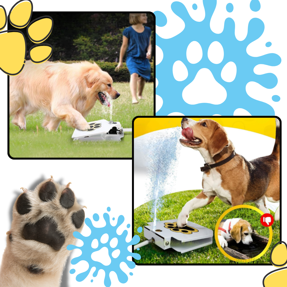 Paw Activated Dog Water Fountain