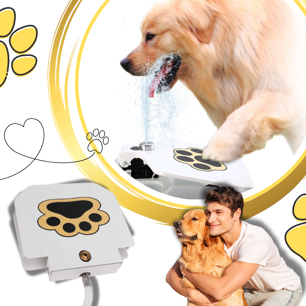 Paw Activated Dog Water Fountain