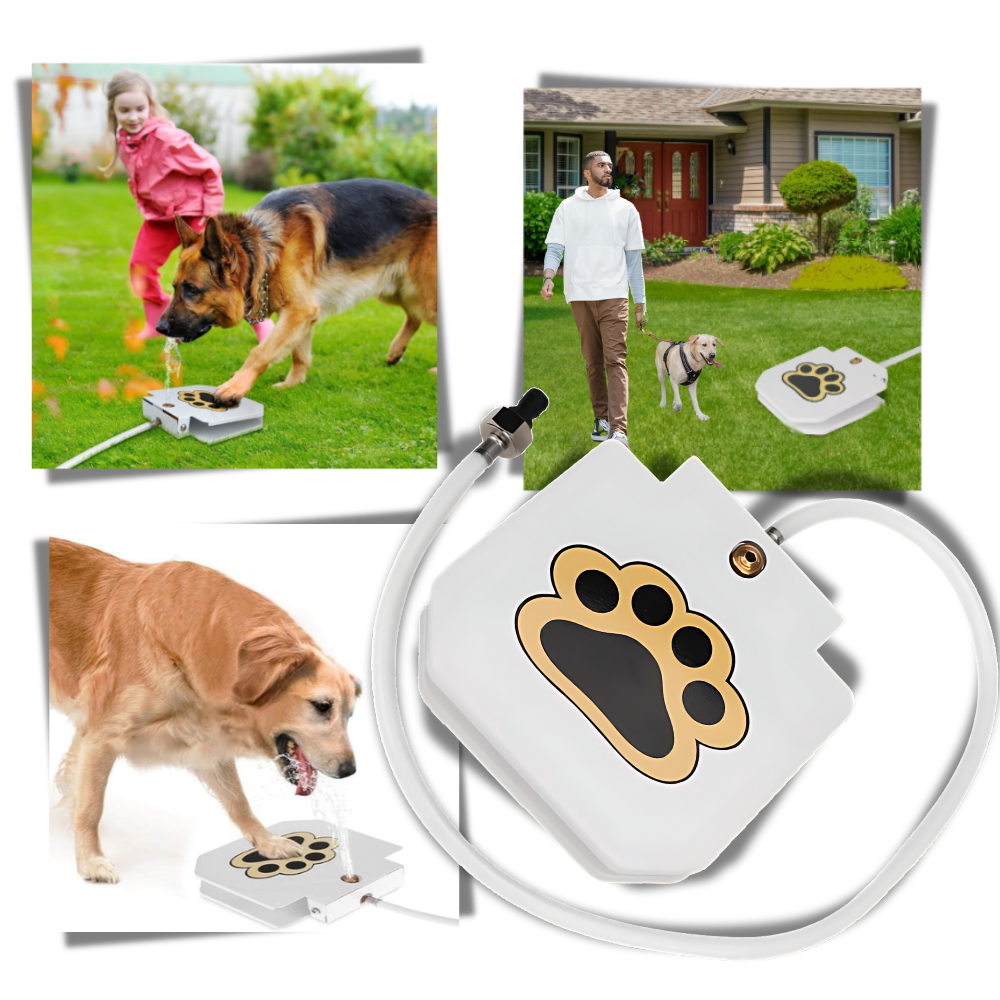 Paw Activated Dog Water Fountain