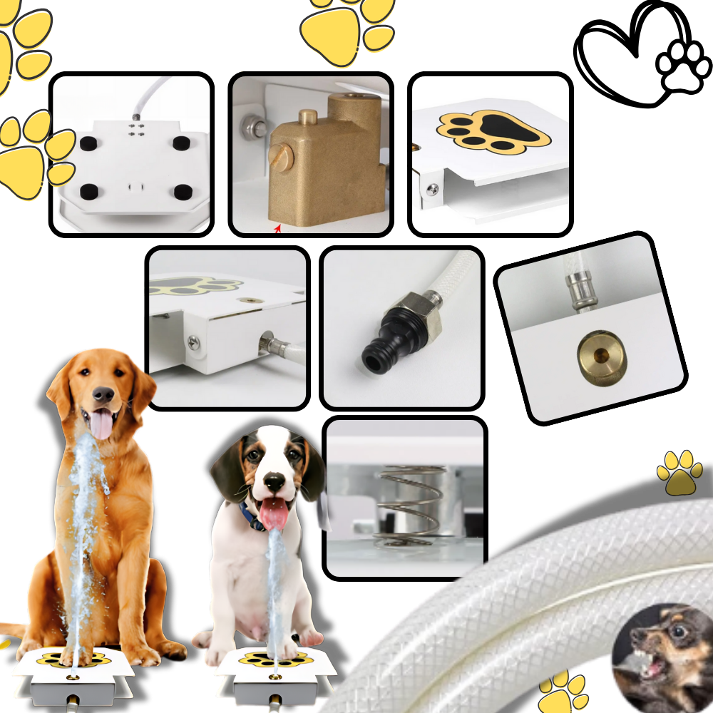 Paw Activated Dog Water Fountain