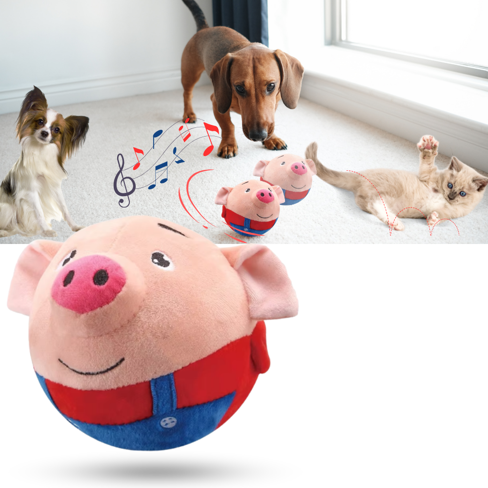 Paw Bounce Sensor Toy