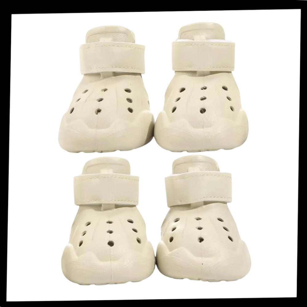 Bottines de protection pour pattes