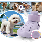 Bottines de protection pour pattes