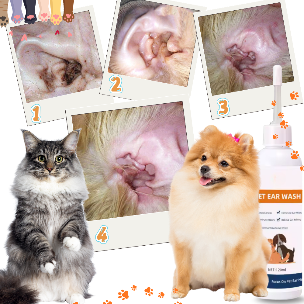 Pet Ear Deodorant Cleaner