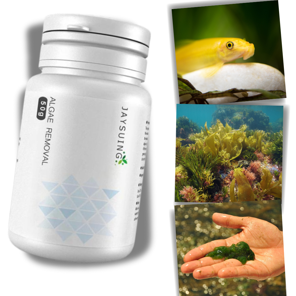 Produit anti-algues préventif pour aquarium